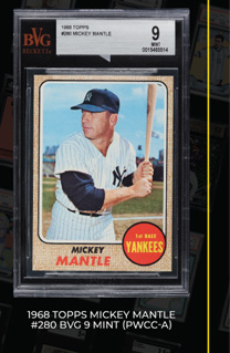 Ads_SportsCollector_CF_20231108_Newsletter-(1)_04